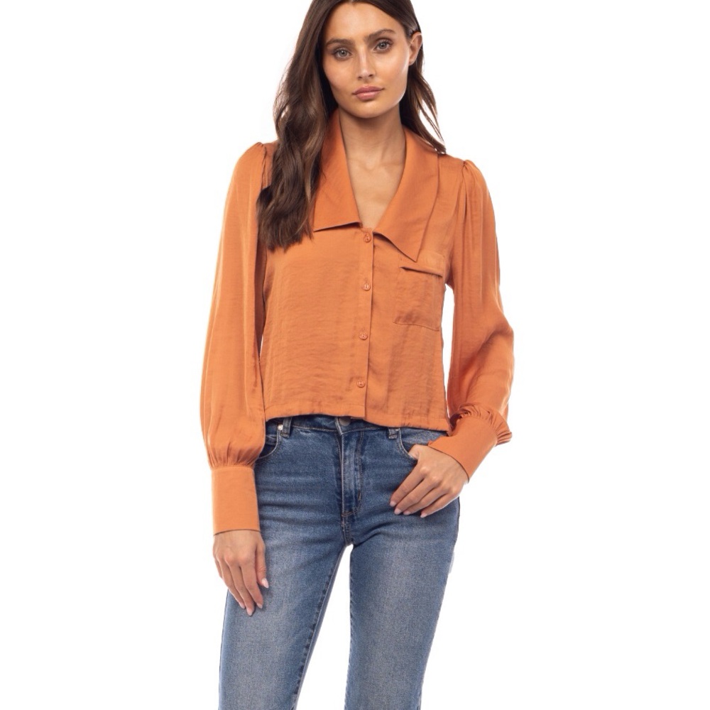Naked Zebra Peter Collar Cropped Button Blouse in Autumn